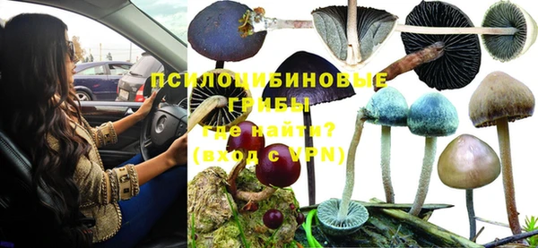 дурь Абдулино