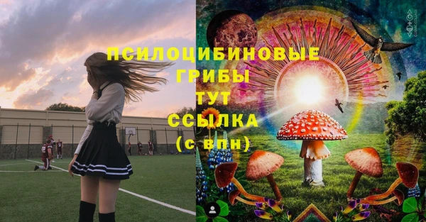 дурь Абдулино
