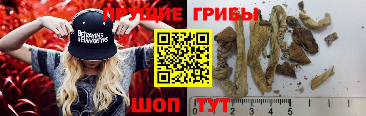 Галлюциногенные грибы MAGIC MUSHROOMS Нижнекамск