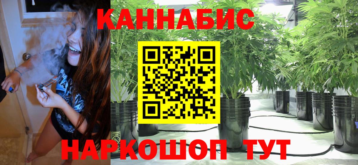 Бошки Шишки гибрид  Канабис гибрид  Вход с VPN  Конопля SATIVA & INDICA  Нижнекамск 